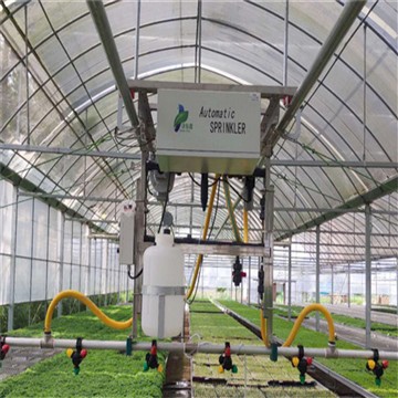 Singapore Pepinieră Boom de irigare cu seră